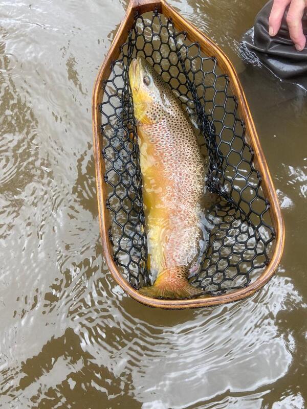 ᐅ Elk River fishing reports🎣• Athens, AL (United States) fishing